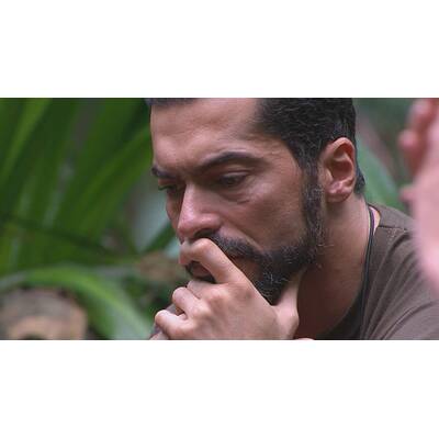 Dschungelcamp: Der zwölfte Tag