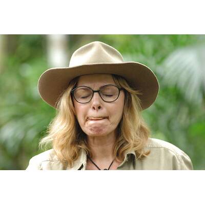 Dschungelcamp: Der zwölfte Tag