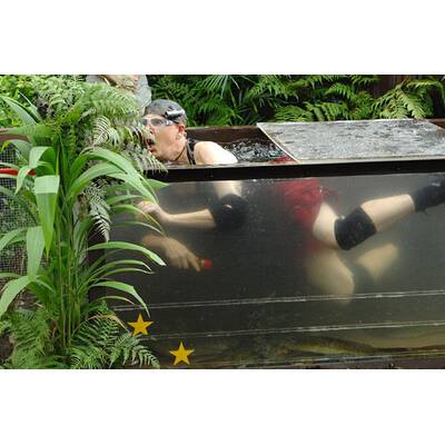 Dschungelcamp: Der 13. Tag