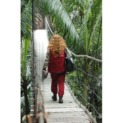 Dschungelcamp: Der 13. Tag