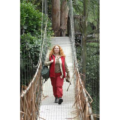 Dschungelcamp: Der 13. Tag