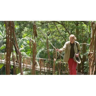 Tag 14 im Dschungelcamp