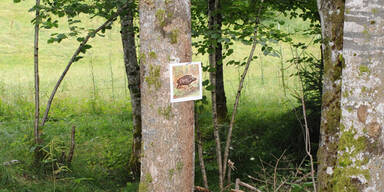 Partygast schoss Kind in den Kopf