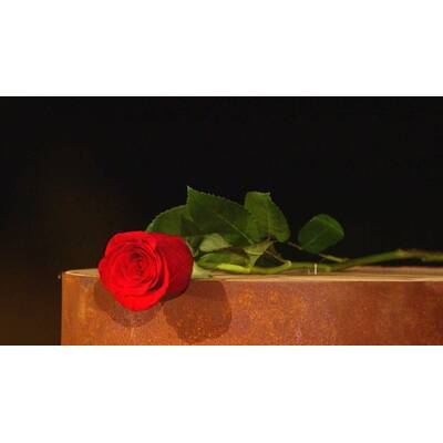 So war das Bachelorette-Finale. 