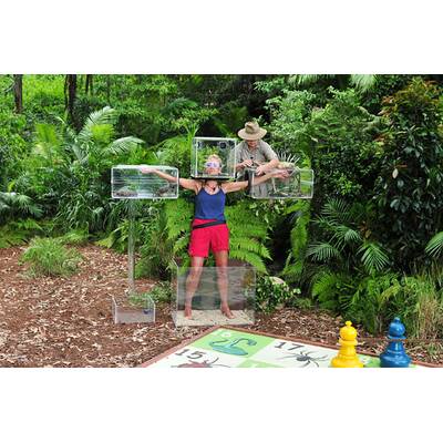 Tag 4 im Dschungelcamp