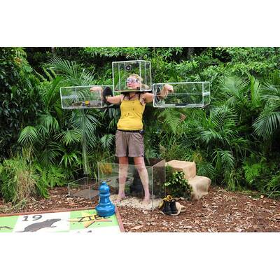 Tag 4 im Dschungelcamp