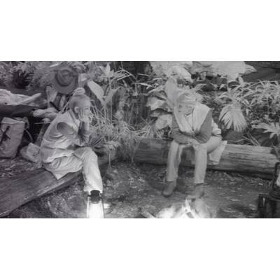 Tag 4 im Dschungelcamp