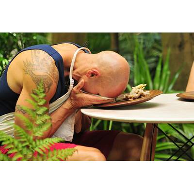 Tag 5 im Dschungelcamp