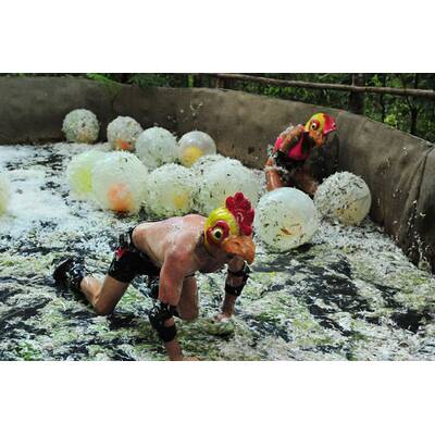 Tag 6 im Dschungelcamp