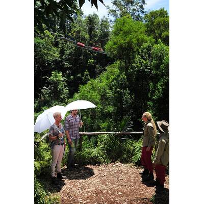 Tag 8 im Dschungelcamp