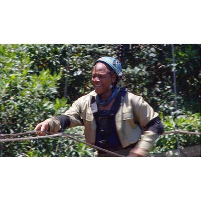 Tag 8 im Dschungelcamp