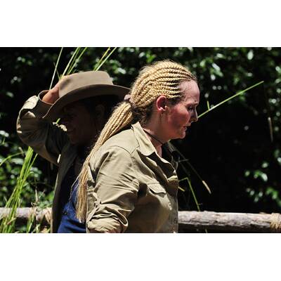 Tag 8 im Dschungelcamp