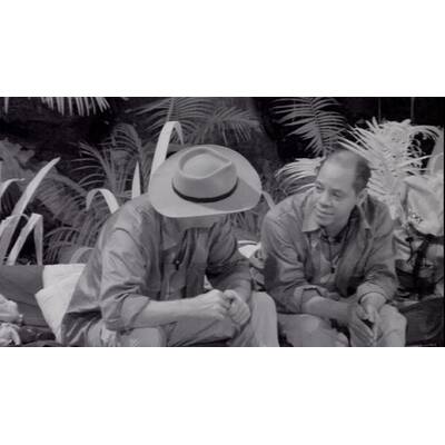 Tag 8 im Dschungelcamp