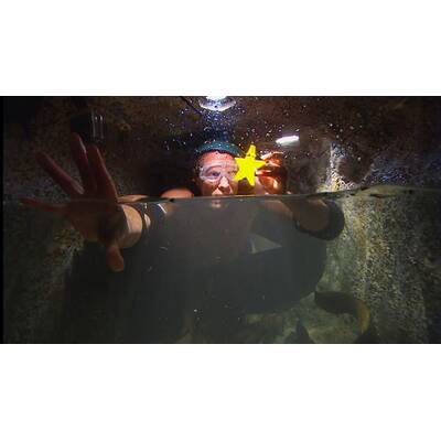 Tag 9 im Dschungelcamp