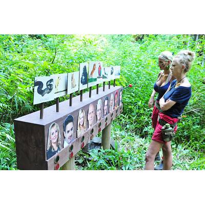 Tag 9 im Dschungelcamp