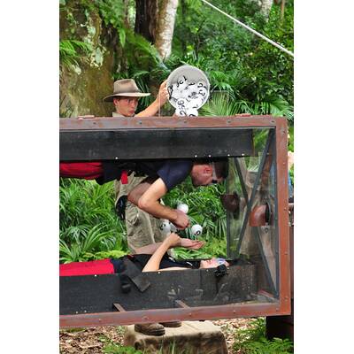 Der eflte Tag im Dschungelcamp