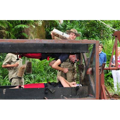 Der eflte Tag im Dschungelcamp