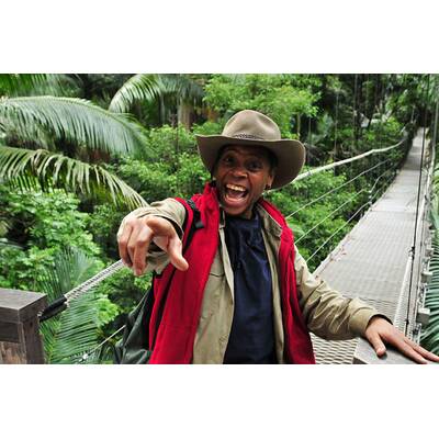 Der eflte Tag im Dschungelcamp