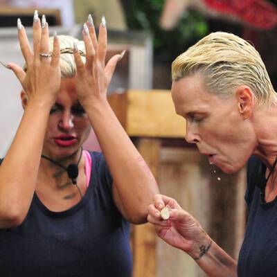 Tag 12 im Dschungelcamp