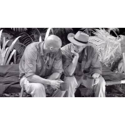 Tag 14 im Dschungelcamp