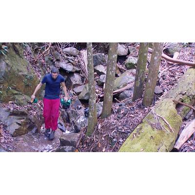 Tag 15 im Dschungelcamp