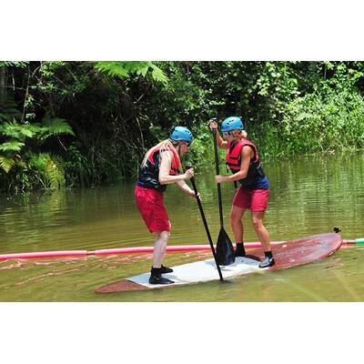 Tag 15 im Dschungelcamp