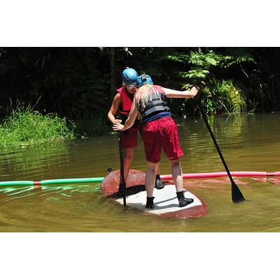 Tag 15 im Dschungelcamp