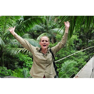 Tag 16 im Dschungelcamp