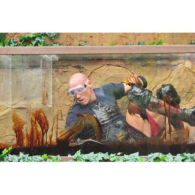 Tag 16 im Dschungelcamp