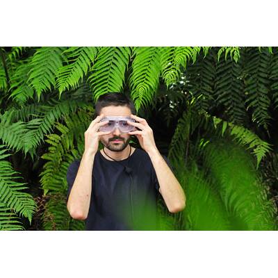 Tag 16 im Dschungelcamp