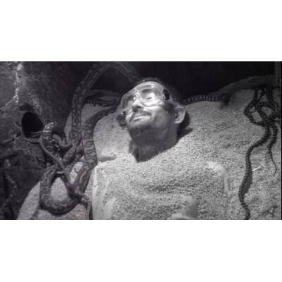 Tag 16 im Dschungelcamp