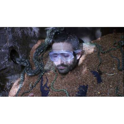 Tag 16 im Dschungelcamp