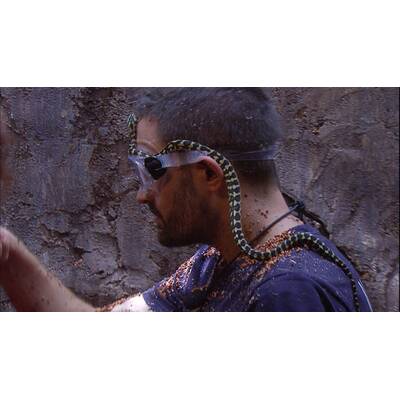 Tag 16 im Dschungelcamp