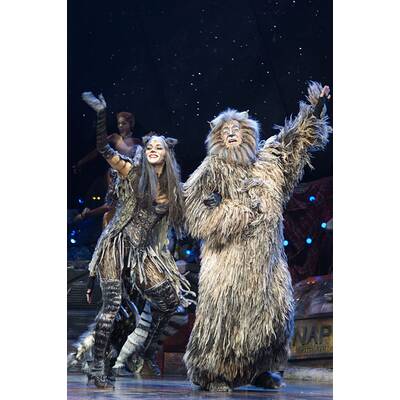 Nicole Scherzinger im Katzenkostüm