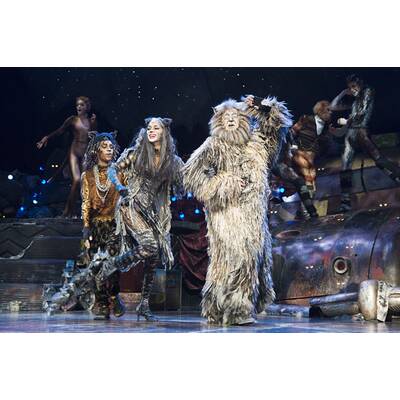 Nicole Scherzinger im Katzenkostüm