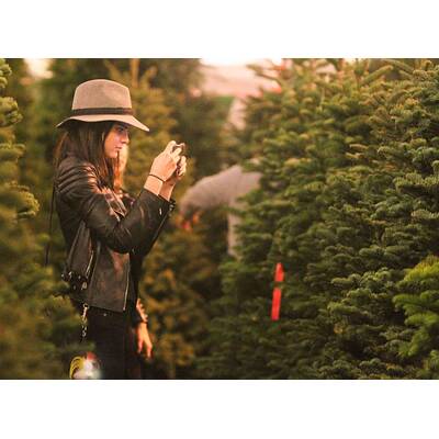 Kendall Jenner & Hailey Jenner beim Christbaum-Shopping