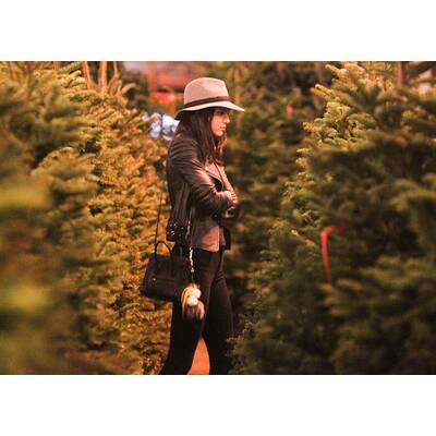 Kendall Jenner & Hailey Jenner beim Christbaum-Shopping