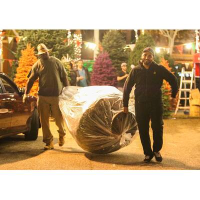 Kendall Jenner & Hailey Jenner beim Christbaum-Shopping