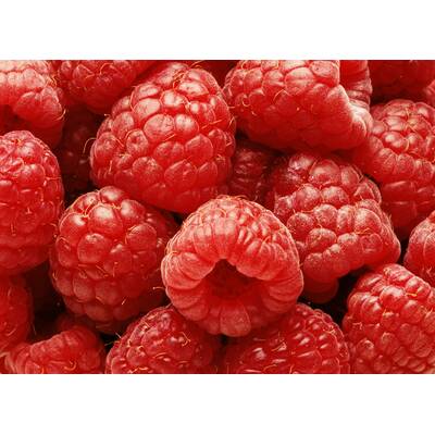 Lebensmittel ohne Kohlenhydrate