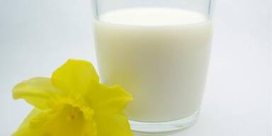 Sch&ouml;nheitselixier Stutenmilch