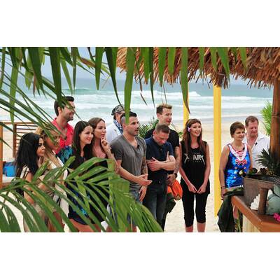 Dschungelcamp 2017: Der Einzug 