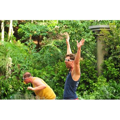 Dschungelcamp 2017: Der Einzug 