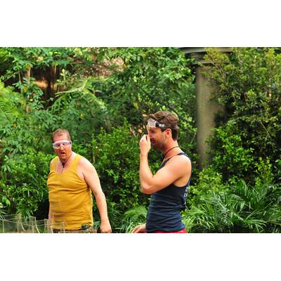 Dschungelcamp 2017: Der Einzug 