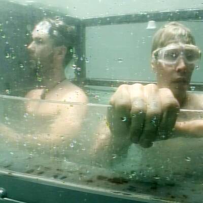 Dschungelcamp 2017: Der  zweite Tag