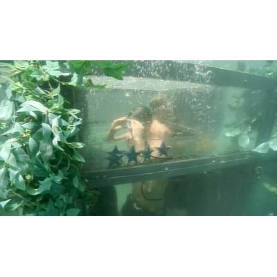 Dschungelcamp 2017: Der  zweite Tag