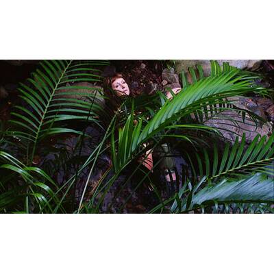 Dschungelcamp 2017: Der  zweite Tag