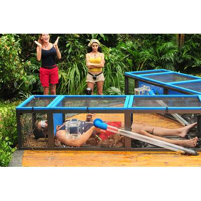 Dschungelcamp 2017: Der dritte Tag 