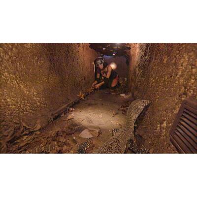 Der fünfte Tag im Dschungelcamp