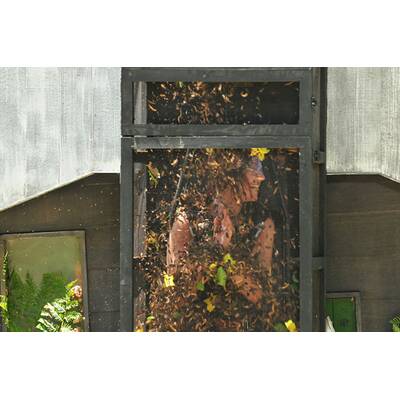 Der sechste Tag im Dschungelcamp