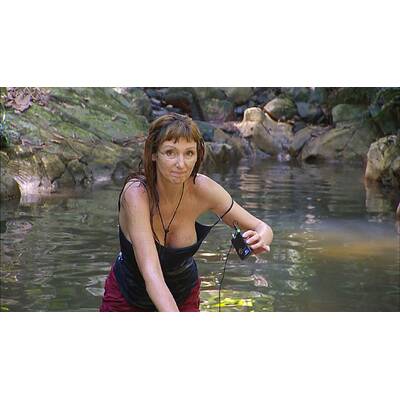 Dschungelcamp: Wer fliegt als Erster raus?